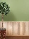 Menzner Lumber & Supply Co M4x1pstec Wainscot Maple 8 Linear Feet