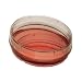 Argos P1012 Sterile Surface Treated Tissue Culture Plate with 12 Wells, 6.80mL Well Volume (Case of 100)