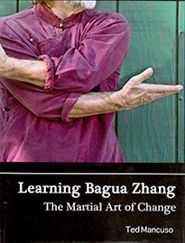 Learning Bagua Zhang The Martial Art of Change