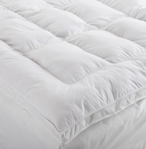 Spring Air 233-Thread Count Cotton Queen 2-Inch Thick Framed Down Alternative Fiber Bed, White