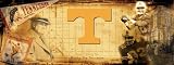 Tennessee Volunteers Vols UT Sports Wall Mural Wallpaper