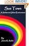Sue Town: A Subterran Urban Environment