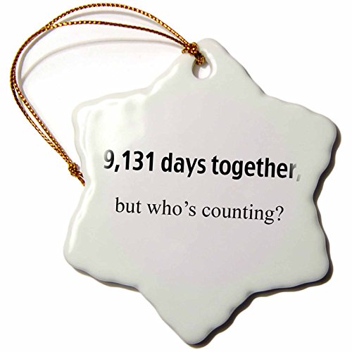 3dRose orn_112212_1 9, 131 Days Together But Who's Counting Happy 25th Anniversary Snowflake Porcelain Ornament, 3-Inch