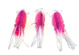 KAMIKAZE -SQUIDEX12 SOFT SQUID LURES - PK OF 3 - SET C