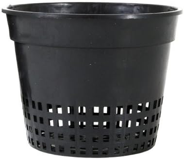 Round Pot Planter Size: 3.75" W