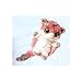 Aurora YooHoo & Friends 8" SUGAR GLIDER PLUSH - "Whistle"