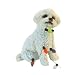 Bichon Frise Sandicast Holiday Ornament