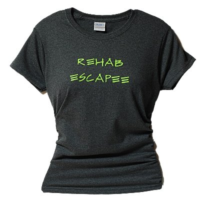 Flirty Diva Tees Rehab Escapee Drug Recovery SoftStyle Small Black T