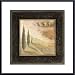 Nature's Spirit I by Susan Osborne 20.00X20.00 Framed with Black Metal Frame