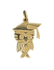 Dazzlers Solid 14k Gold Owl Charm Pendant Available in three colors from jewelsberry (weights: 1.0 grams only)