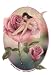 Rose Fairy by Rachel Anderson - Sticker / Decal