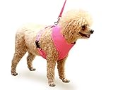 After Christmas Sales: Yes4All Soft Mesh Dog Puppy Harness, 47" Marched Color Leash Included (Pink, M) - ²PMMPZ