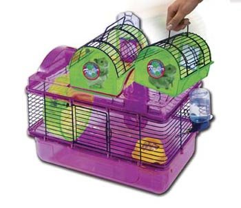 Here There Small Animal House