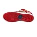 Nike DUNK LOW PRO SB mens skateboarding-shoes 304292