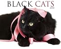 Black Cats 2010 Calendar