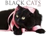 Black Cats Calendar