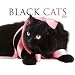 Black Cats 2010 Calendar