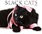 Black Cats 2010 Calendar...