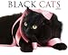 Black Cats 2010 Calendar