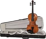 Bellafina Cantante 4/4 Violin Outfit