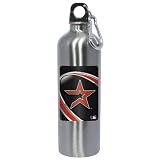 MLB Houston Astros Stainless Steel Water Bottle