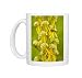 Photo Mugs of Man Orchid - in flower. Rare in UK from Ardea Wildlife Pets