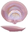 Large Glass Orchid Pink Abalone Shell Dish 11" x 12"