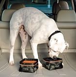 Wander Dog Travel Food Bowl