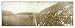 Historic Massachusetts Harvard - Dartmouth 1903, Panorama Photo Poster Print (M)