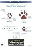 A Guide to British Mammal Tracks and Signs