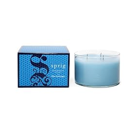 SPRIG Fragrances 3 Wick Candle - Blue Hydrangea