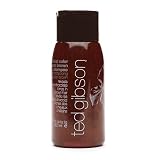Ted Gibson Individual Color Shampoo 10 fl oz (300 ml)