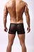 DomiGe Sheer Mesh Boxer Trunks, Mens, Black (5006)