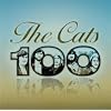 The Cats 100