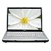 Toshiba Satellite X205-S9810 17