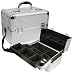 Aluminum Makeup Case W/ Dividers