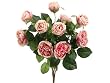 Artificial 16" Two-Tone Pink Cabbage Rose Bush