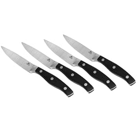 Chicago Cutlery Insignia2 Steak Knife 4-pc. Set by WORLD KITCHEN-ECKO