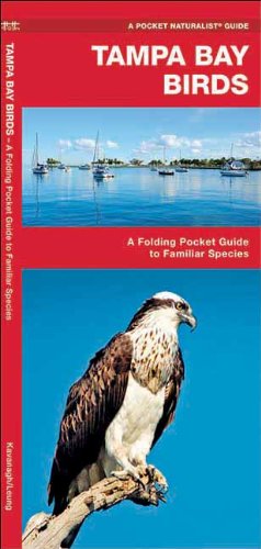 tampa bay birds a folding pocket guide to familiar species pocket naturalist guide series