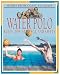 Water Polo (Sports from Coast to Coast)