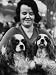 Champion Cavalier King Charles Spaniels, at Cruft's Dog Show Photographic Poster Prin...