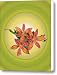 Blackberry Lily In Yellow Canvas Print / Canvas Art - Artist Patricia Motley