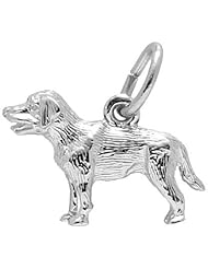 Rembrandt Charms Labrador Charm