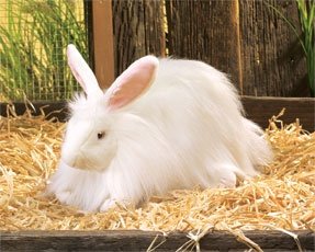 Childrens Toyshop  Toys : Angora Rabbit Puppet
