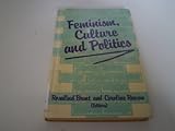 Feminism, culture, and politics