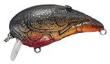 Koppers Live Target CRAWFISH Crankbait BLACK - 2 1/2 Deep Diver