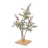 �y�l�H�A���z�i���e��80cm