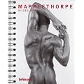 2011 Mapplethorpe Nudes Deluxe Engagement Calendar