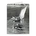 An Anxious Mother, an incident seen and.. - Greeting Card (Pack of 2) - 7x5 inch - Art247 - Standard Size - Pack Of 2