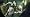 Assassin's Creed: Director's Cut Edition (PC)